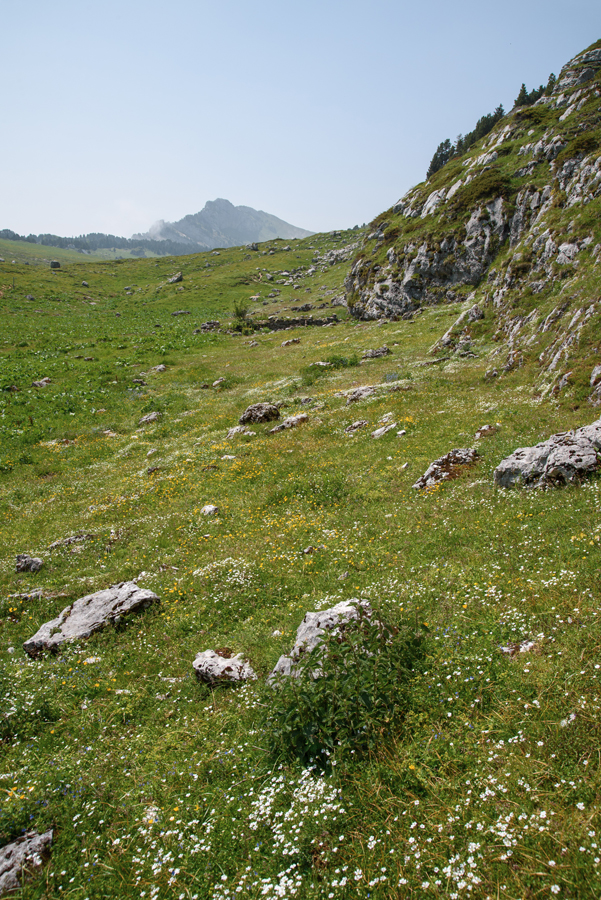 Chalet de l'Aulp du Seuil