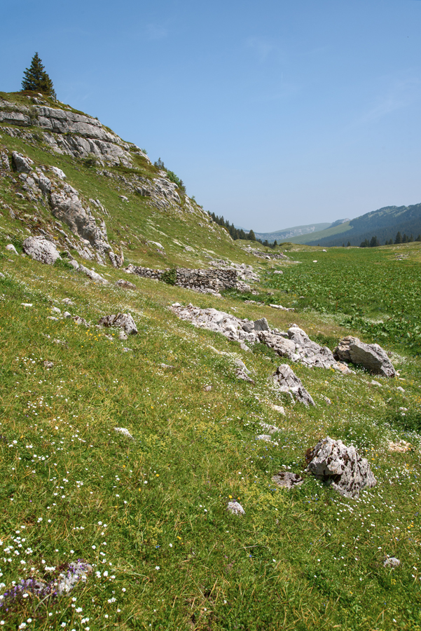 Chalet de l'Aulp du Seuil