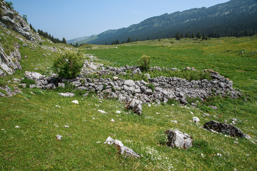 Chalet de l'Aulp du Seuil