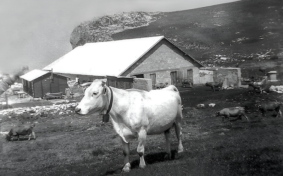 Chalets du Charmant Som