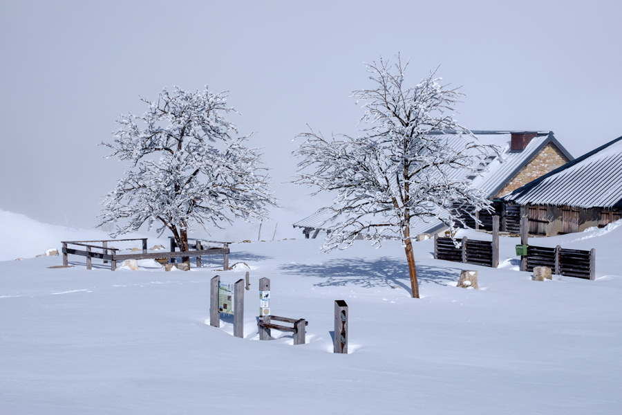 Chalets du Charmant Som