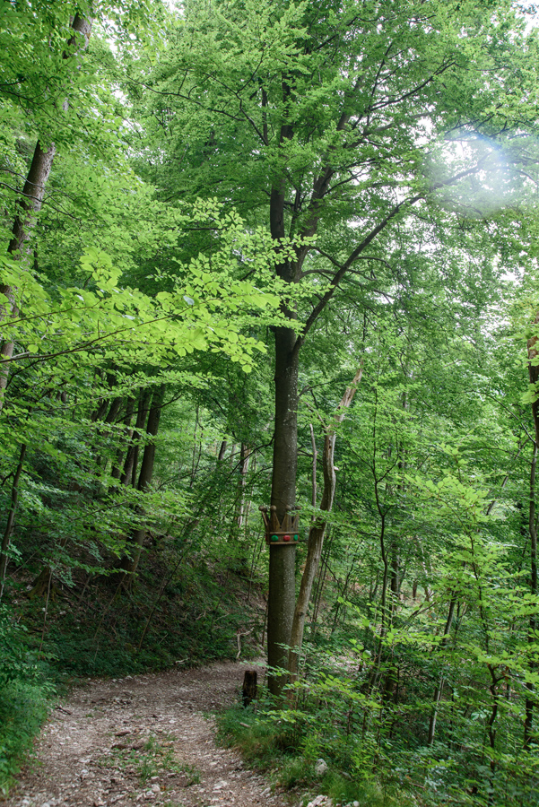 Sentier artistique Côte Curt