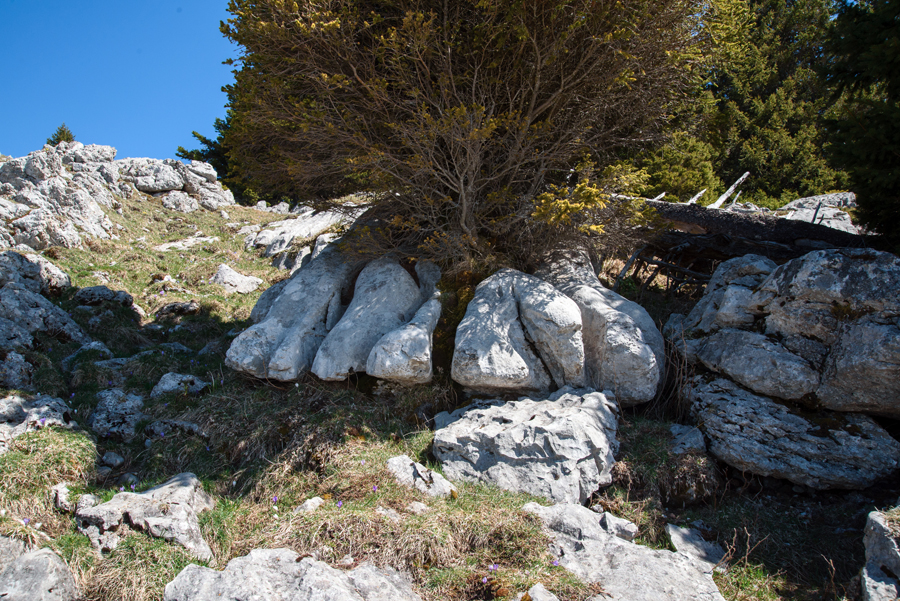 Etonnant