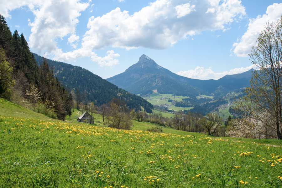 Etonnant
