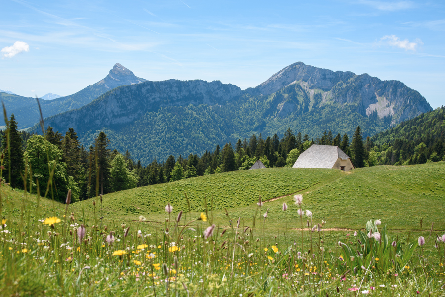 Etonnant