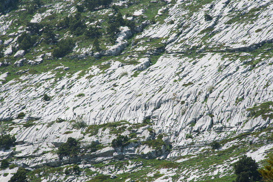 Etonnant