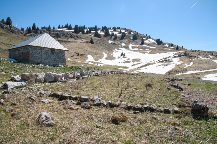 Habert de Pravouta