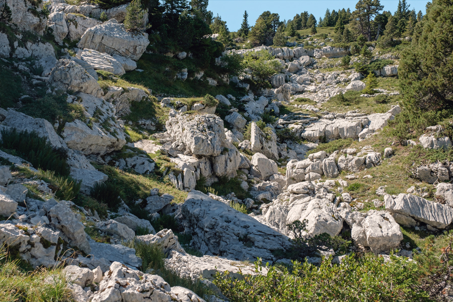 Sommets de Chartreuse