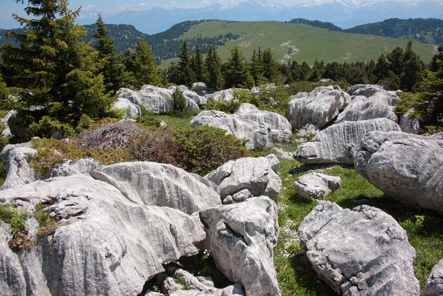 Sommets de Chartreuse