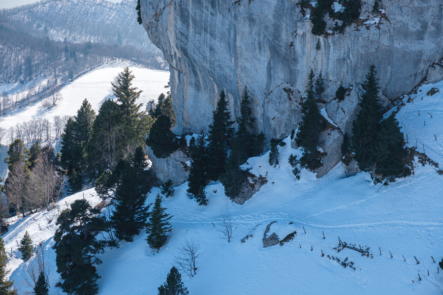 Sommets de Chartreuse