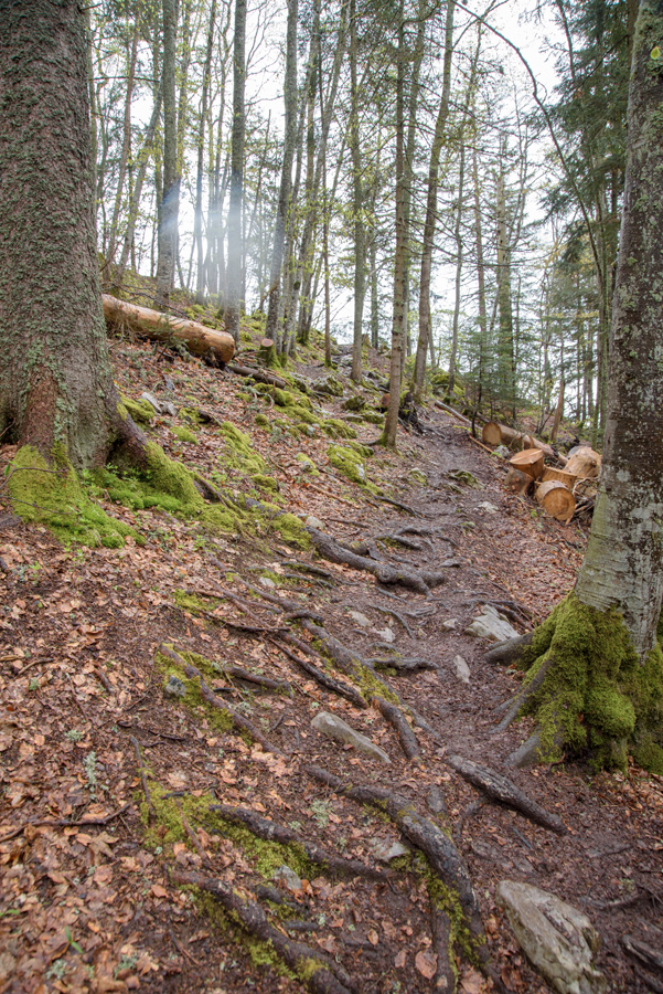 Sommets de Chartreuse