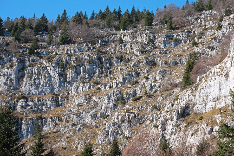 Sommets de Chartreuse