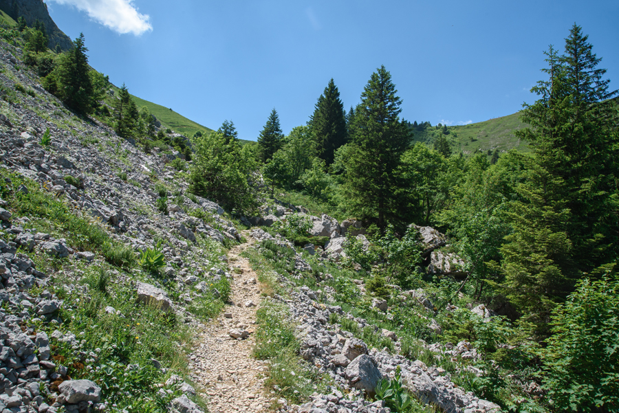 Sommets de Chartreuse