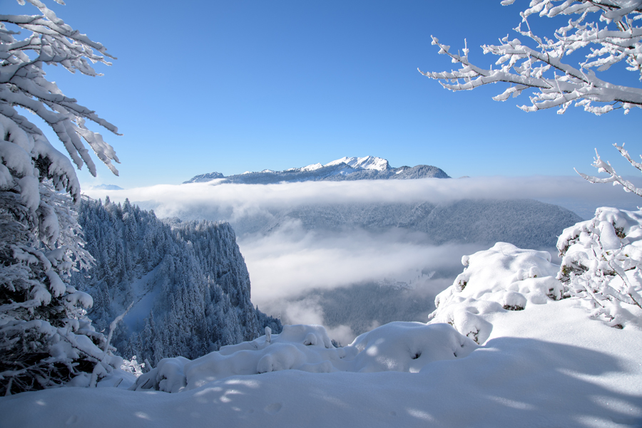Sommets de Chartreuse