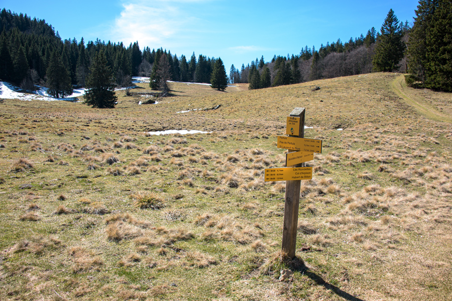 Sommets de Chartreuse